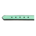 Hondenhalsband Gloria Gestoffeerd Groen (45 cm) (45 x 2 cm)