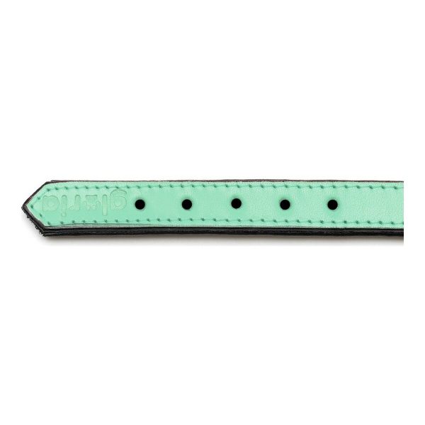 Hondenhalsband Gloria Gestoffeerd Groen (45 cm) (45 x 2 cm)