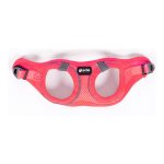 Hondentuigje Gloria Air Mesh Star Roze Maat XXS (24-26 cm)