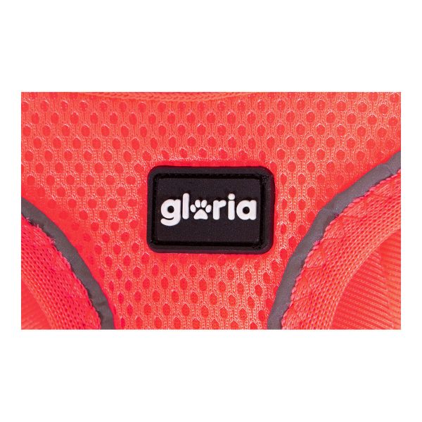 Hondentuigje Gloria Air Mesh Star Roze Maat XXS (24-26 cm)