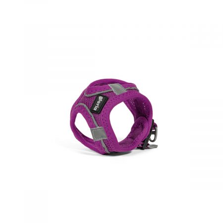 Hondentuigje Gloria Trek Star 24-26 cm 28-28,6 cm Paars XXS