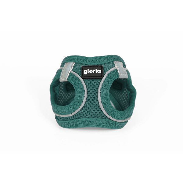 Hondentuigje Gloria Trek Star 27-28 cm 31-34,6 cm Turkoois XS