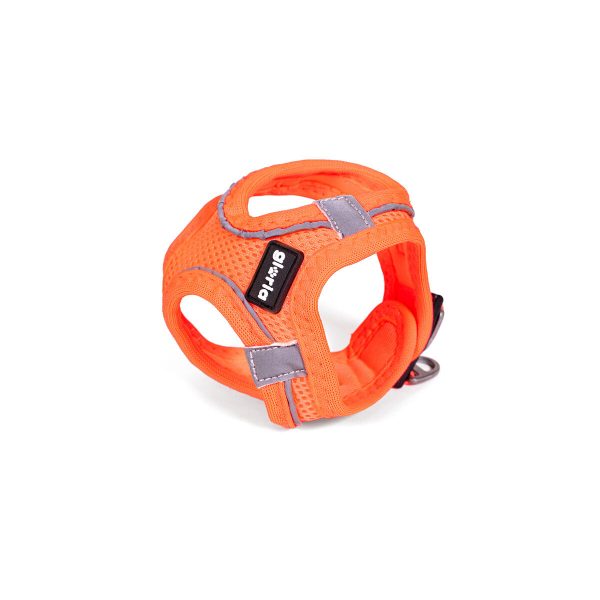 Hondentuigje Gloria Trek Star 32,8-35,4 cm 45-47 cm Oranje M