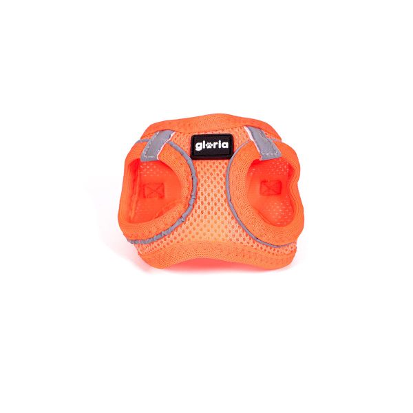 Hondentuigje Gloria Trek Star 32,8-35,4 cm 45-47 cm Oranje M