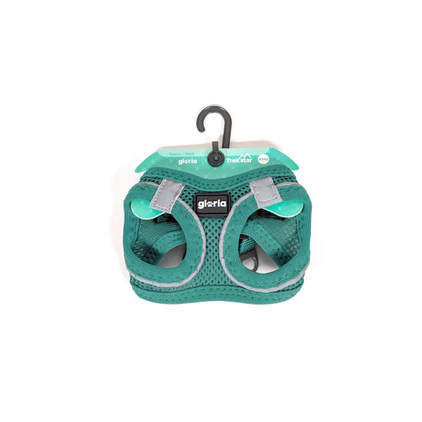 Hondentuigje Gloria Trek Star 33,4-35 cm 51-52 cm Turkoois L