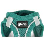 Hondentuigje Gloria Trek Star 33,4-35 cm 51-52 cm Turkoois L