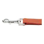 Hondenriem Gloria Oasis 2.1 x 100 cm Rood