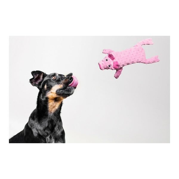 Hondenspeelgoed Gloria Dogmonsters Roze Varken 34 x 9 cm