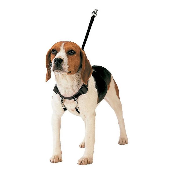 Hondentuigje Gloria 30-42 cm Maat M