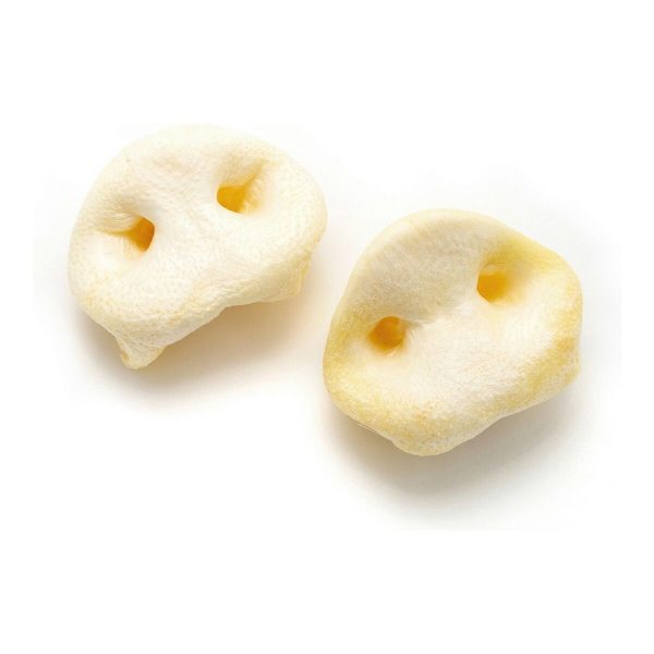 Snack voor honden Gloria Display Light 20 Stuks Varken
