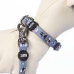 Hondenhalsband Disney Grijs
