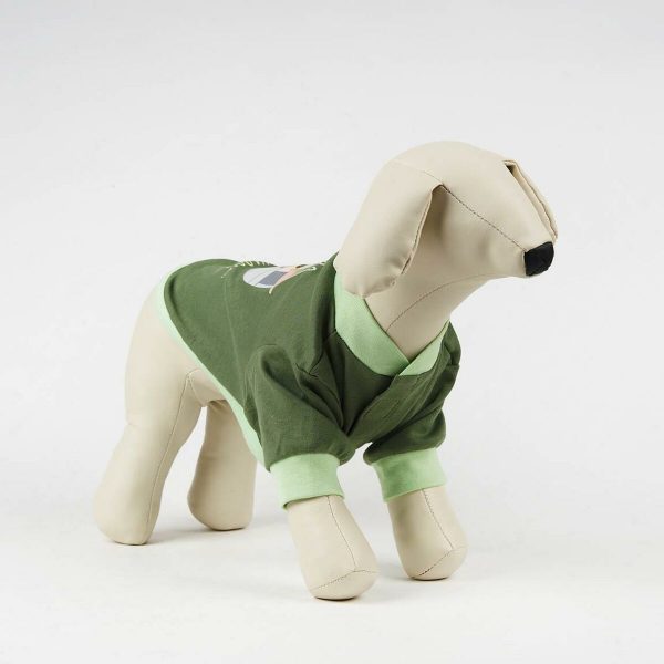Dog Pyjamas The Mandalorian Groen