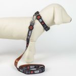 Hondenriem Star Wars Zwart M