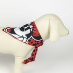 Welcome Gift Set for Dogs Minnie Mouse Rood 5 Onderdelen