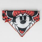 Welcome Gift Set for Dogs Minnie Mouse Rood 5 Onderdelen