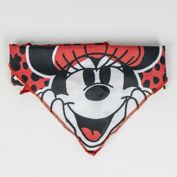 Welcome Gift Set for Dogs Minnie Mouse Rood 5 Onderdelen