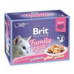 Kattenvoer Brit Premium Kip Zalm Kalfsvlees 12 x 85 g