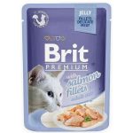 Kattenvoer Brit Premium Kip Zalm Kalfsvlees 12 x 85 g