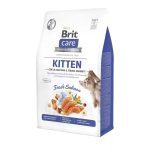 Kattenvoer Brit 100-172542 Zalm 2 Kg