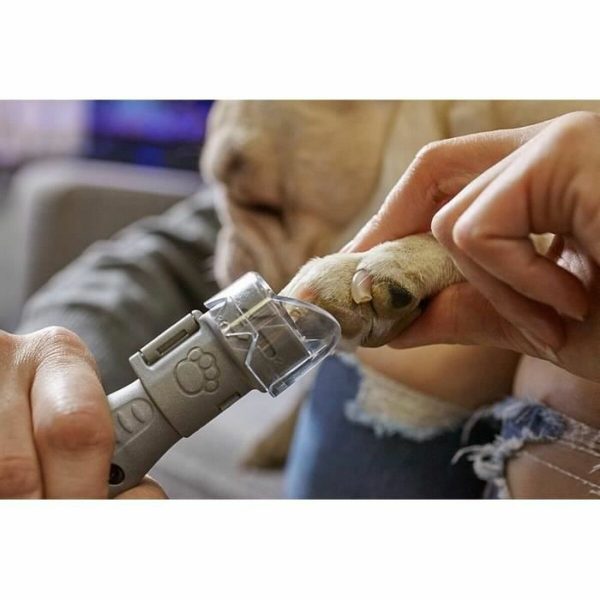 Schuurschijven Dremel PG10 Nagelvijl Hond (10 Stuks)