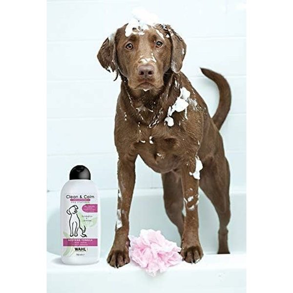 Dierenshampoo Wahl Clean & Calm 750 ml