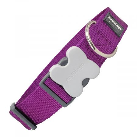 Hondenhalsband Red Dingo Paars (4 x 37-55 cm)