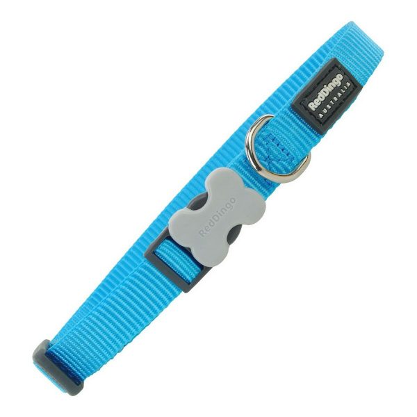 Hondenhalsband Red Dingo Turkoois (2,5 x 41-63 cm)