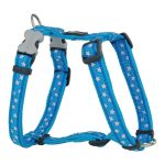Hondentuigje Red Dingo Style Turkoois Ster Wit 37-61 cm