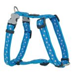 Hondentuigje Red Dingo Style Turkoois Ster Wit 46-76 cm
