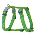 Hondentuigje Red Dingo Style Turkoois Ster Groen 37-61 cm