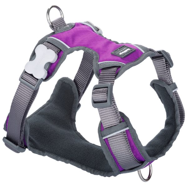 Hondentuigje Red Dingo Dingo 38-58 cm 46-63 cm Paars M
