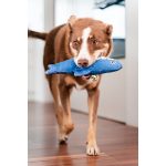 Hondenspeelgoed Red Dingo 25,5 cm Haai Binnenkant/Buitenkant