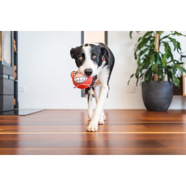 Hondenspeelgoed Red Dingo 10 cm Aap