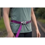 Hondenriem Red Dingo Blauw