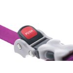 Hondenriem Red Dingo Blauw