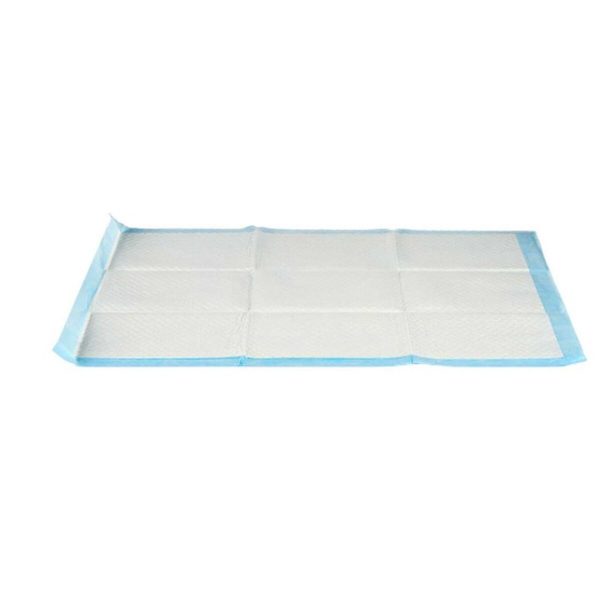 Zindelijkheidstraining-pads voor honden 60 x 90 cm Blauw Wit Papier Polyethyleen (10 Stuks)
