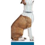 Anti-parasite collar Seresto 38 cm 2 Stuks
